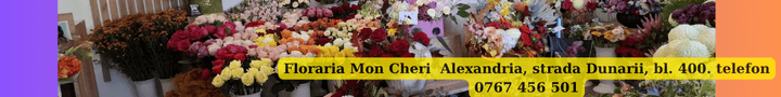 Floraria Mon Cheri
