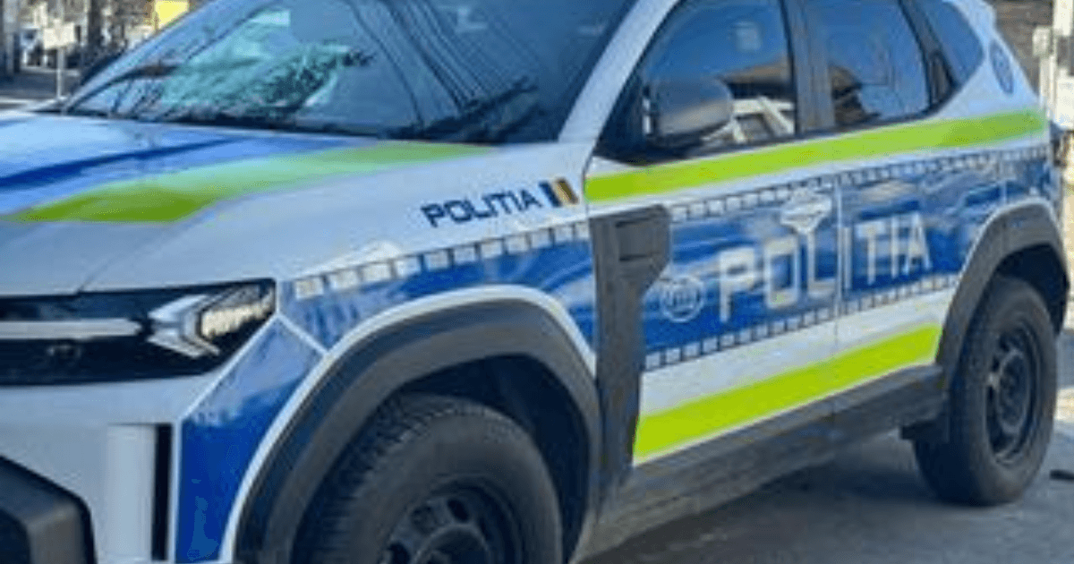 Patru bărbați reținuți în Teleorman, după un weekend marcat de violență în familie, amenințări și furt auto