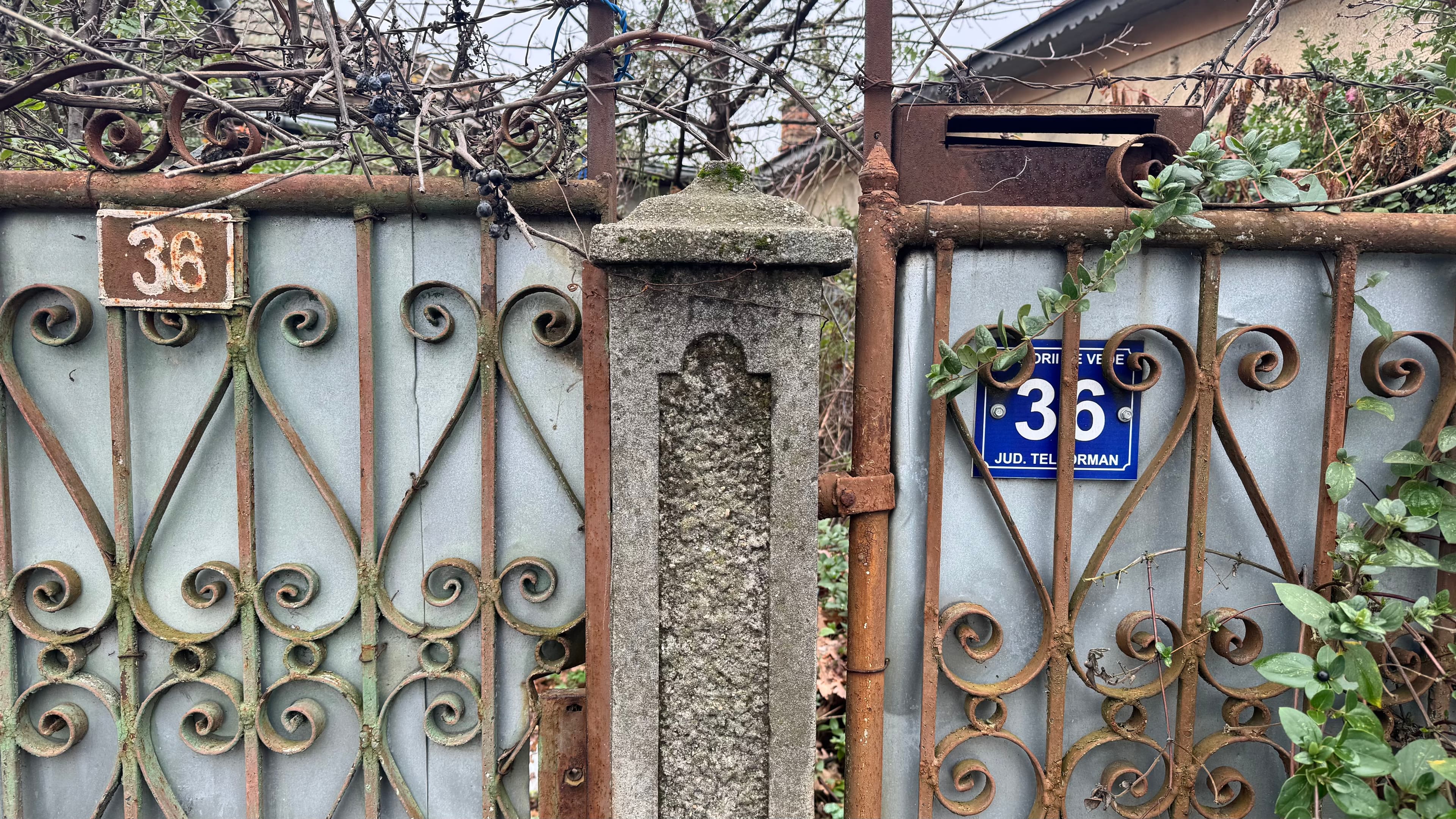O femeie a dispărut din Roșiorii de Vede. De ani de zile, nimeni nu mai știe nimic de ea
