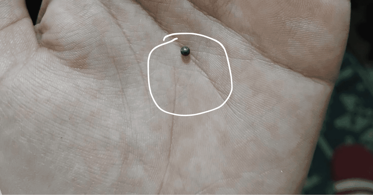 SCANDAL LA BĂCĂLEȘTI: Se trage cu arma printre gospodării! Alicele pică în curțile oamenilor, autoritățile par neputincioase