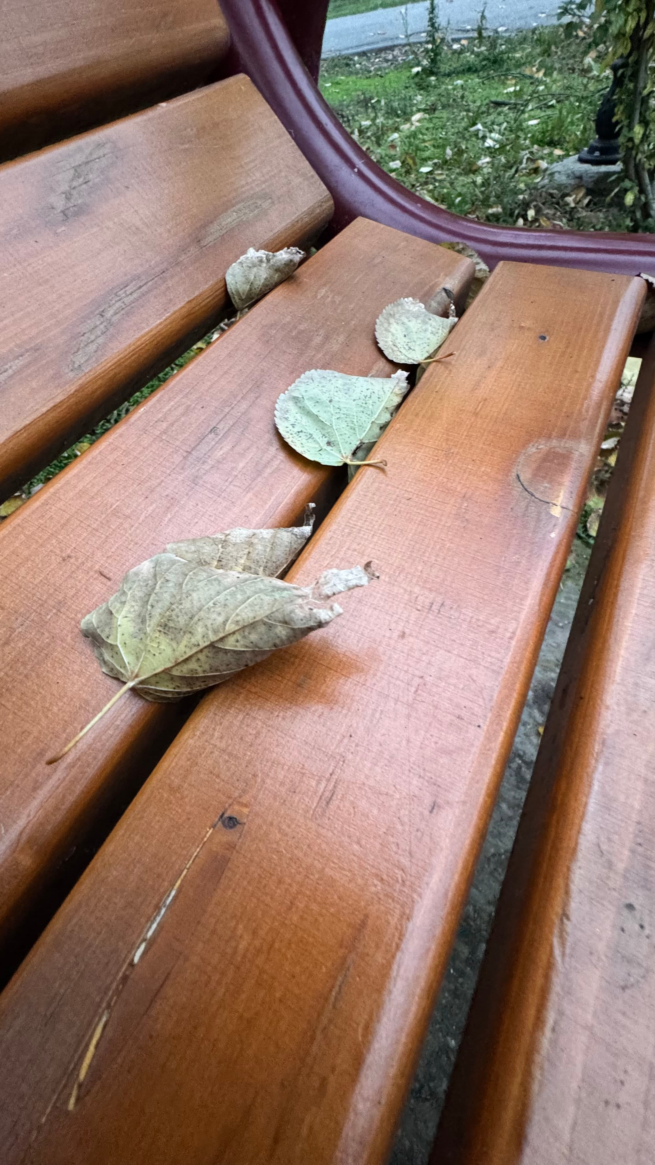 Toamna care ne adună pe toți în același parc
