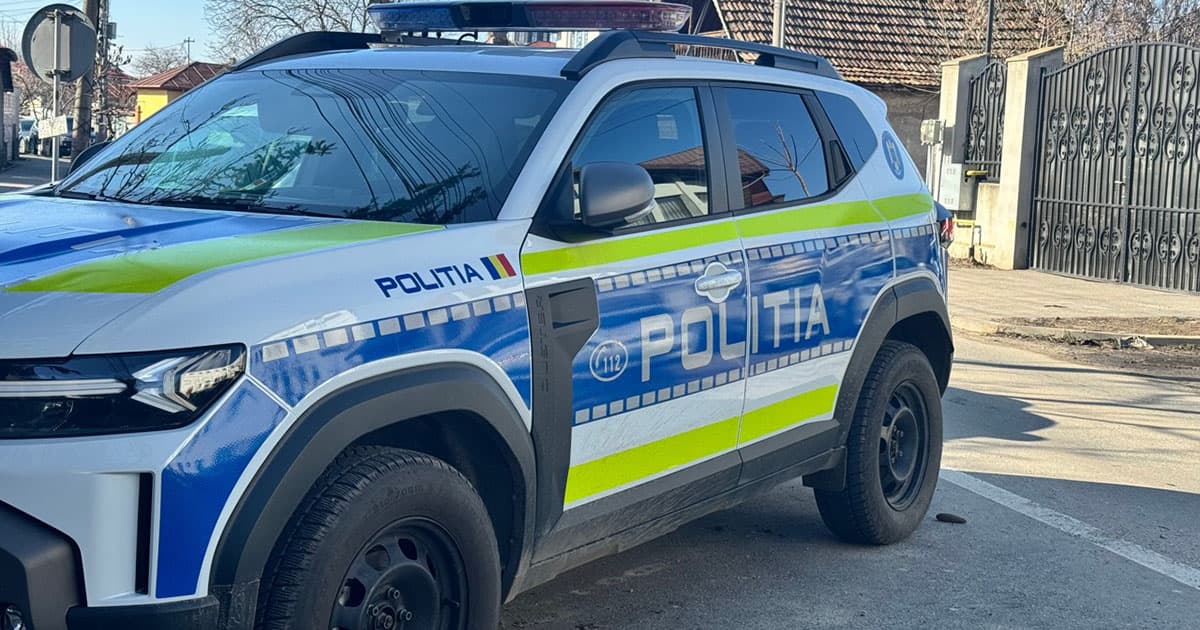 Urmărire pe DJ 503, la Purani. Un șofer cu permisul suspendat s-a răsturnat în șanț