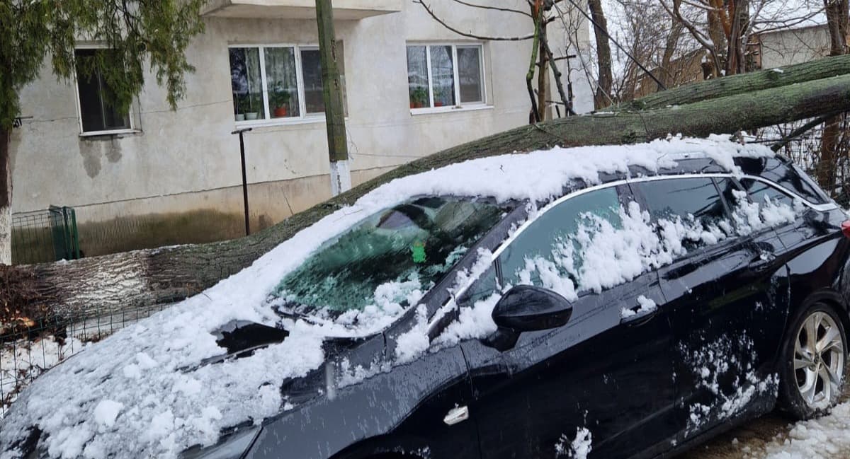 Inspectoratul pentru Situații de Urgență Teleorman: patru intervenții pentru copaci căzuți și trei localități afectate de avarii la energie