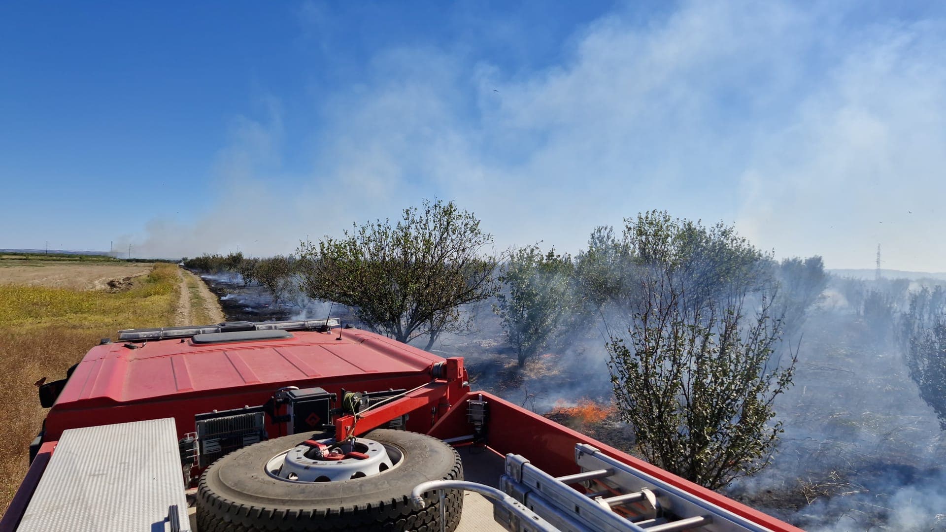 Incendiu de vegetație în Pietroșani – flăcările au cuprins aproape 50 de hectare