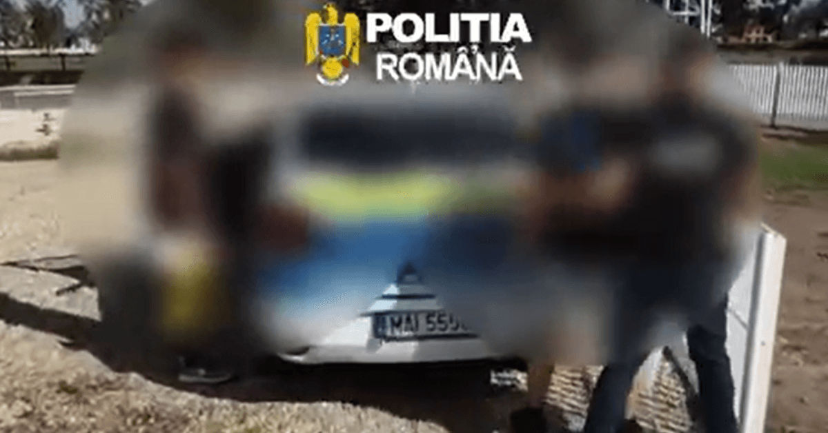 Patru persoane reținute în Teleorman: vehicule luate pentru plimbare și două cazuri de violență în familie