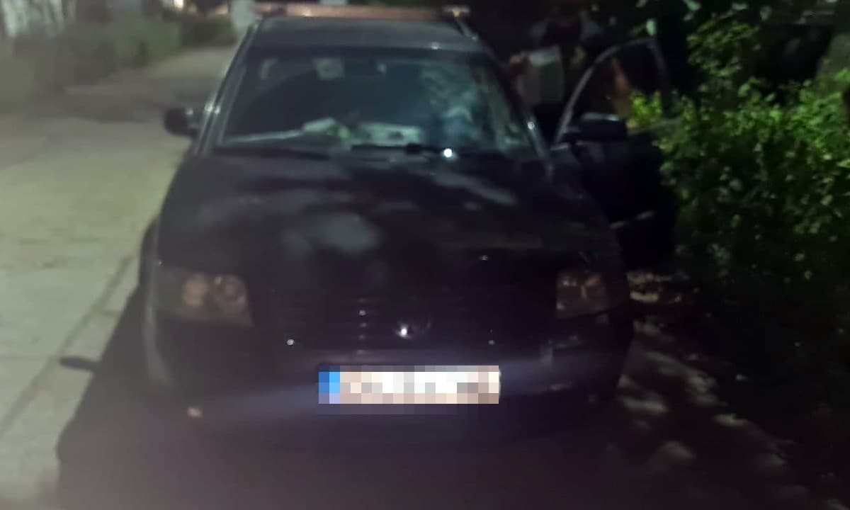 Bulgar căutat de autoritățile franceze, prins la Turnu Măgurele
