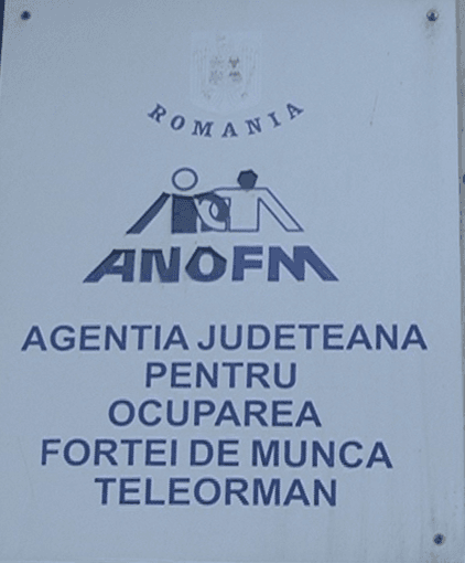 În perioada ianuarie-august, 2.774 de teleormăneni au fost încadrați în muncă / 300 au beneficiat de instrumente de sprijin prin intermediul AJOFM Teleorman