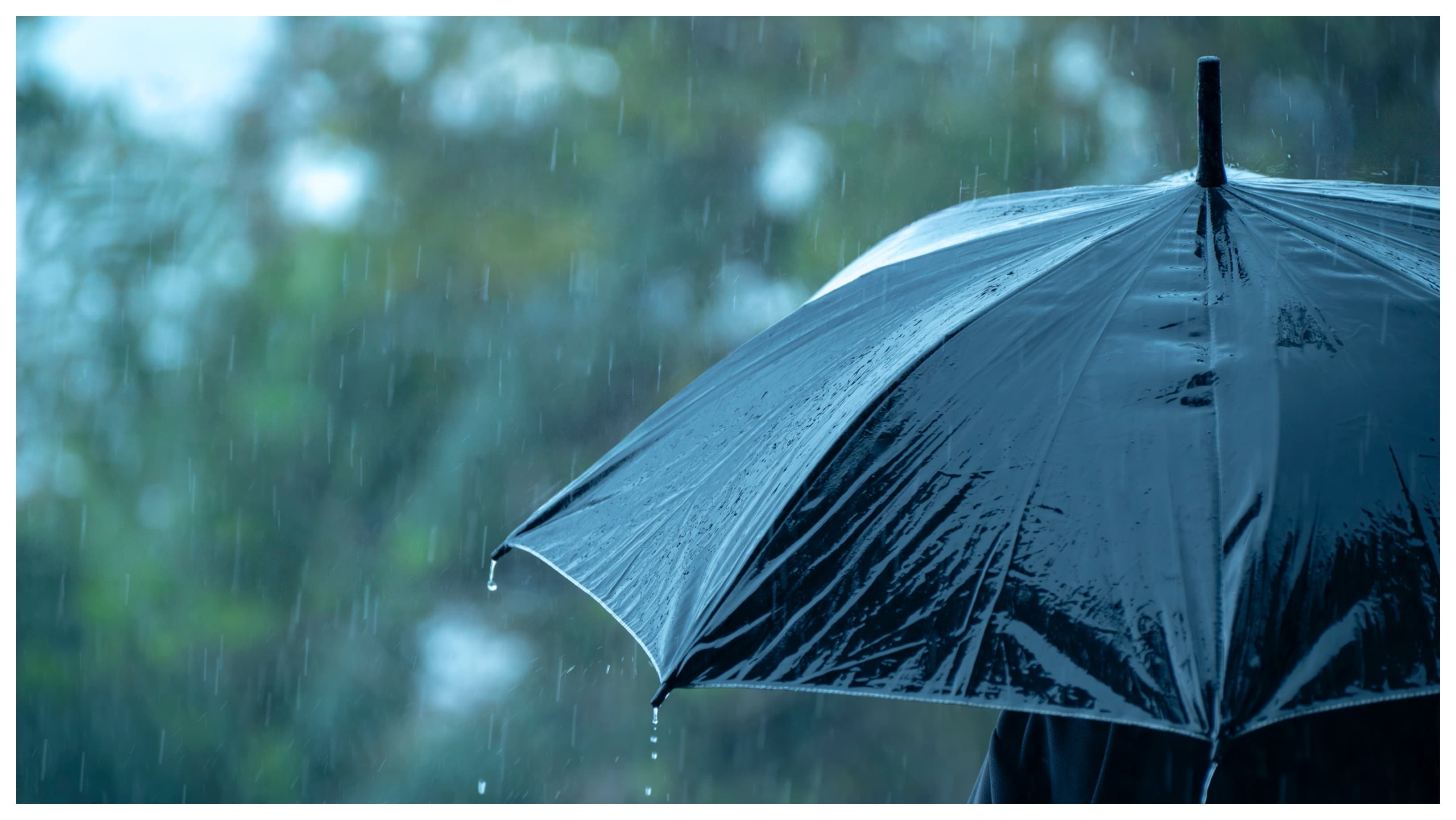 HARTA Cod galben pentru ploi, rafale de vânt și ninsoare la munte. Cum va fi vremea în București în următoarele zile