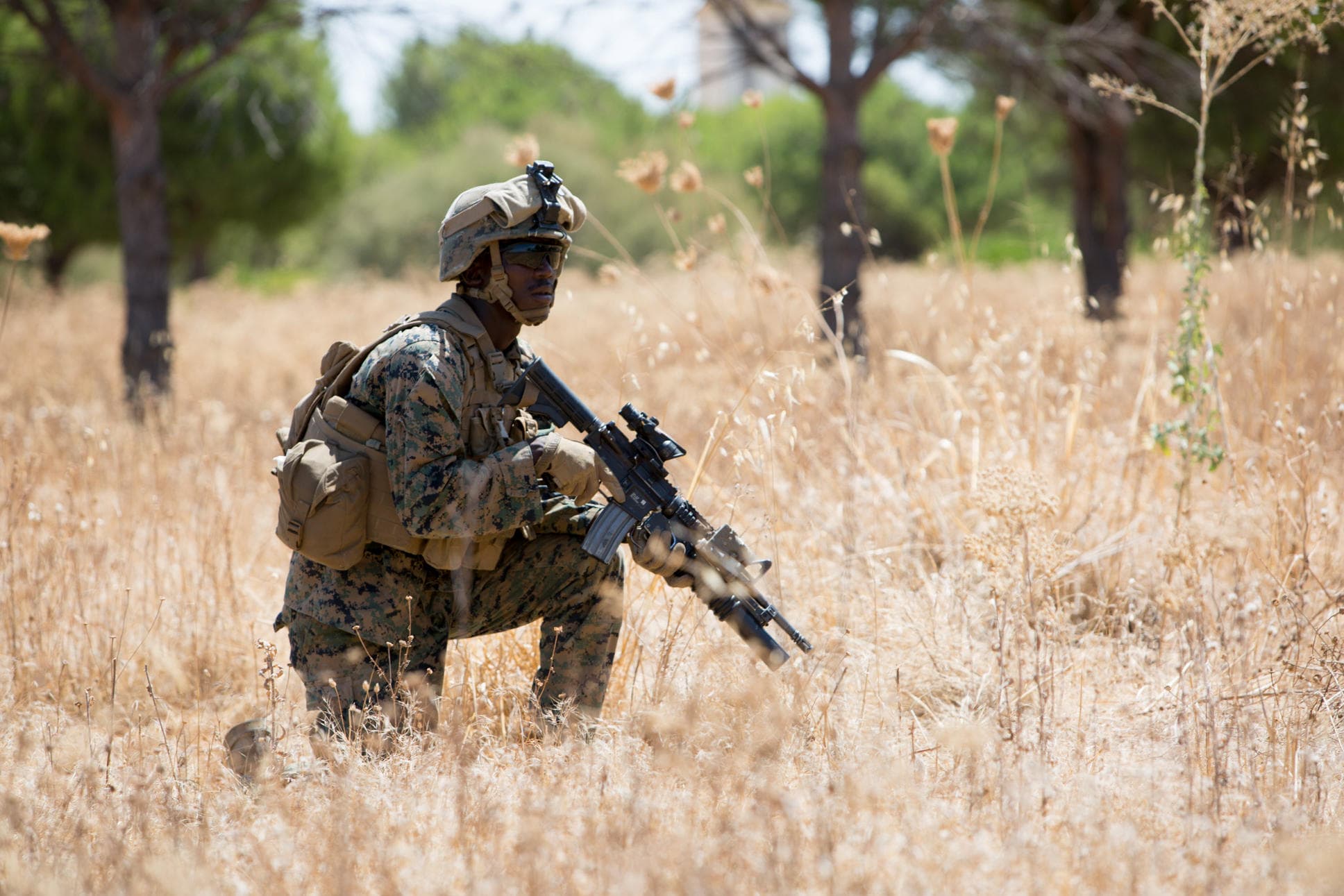 Nava de asalt amfibiu „Castilla” aduce în România 200 de infanterişti marini spanioli